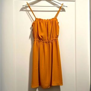 NWT Aritiza Dress